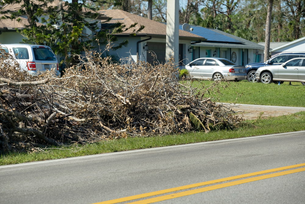 Heaps of limbs and branches debris from hurricane winds