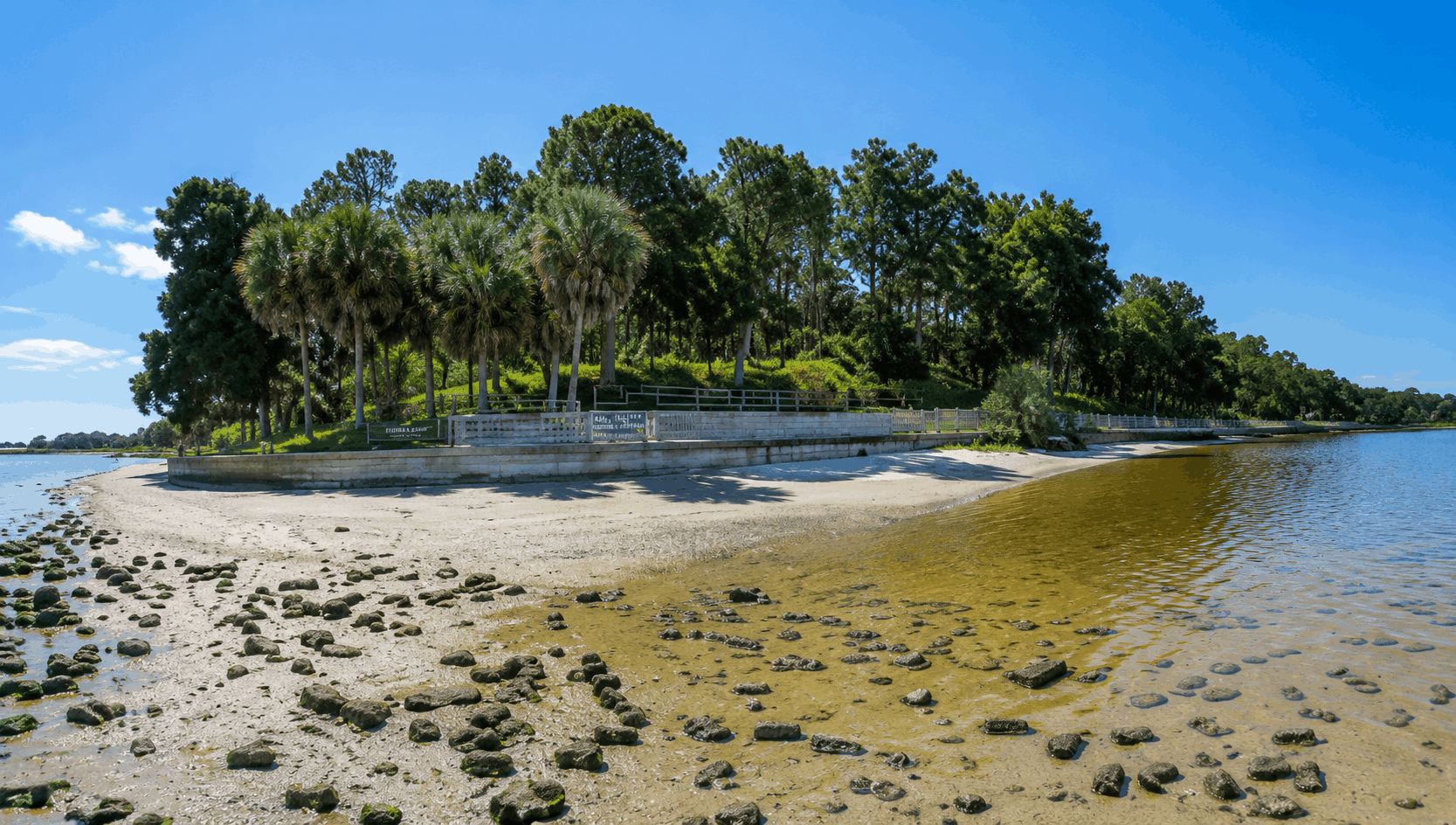 Tocobaga Mound at Philippe Park