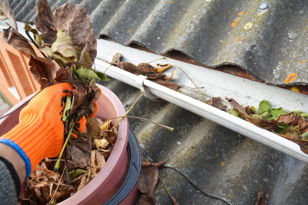 Rain gutters cleaning from leaves after tree trimming