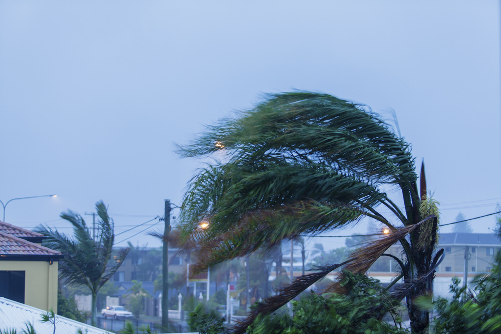 Hurricane season